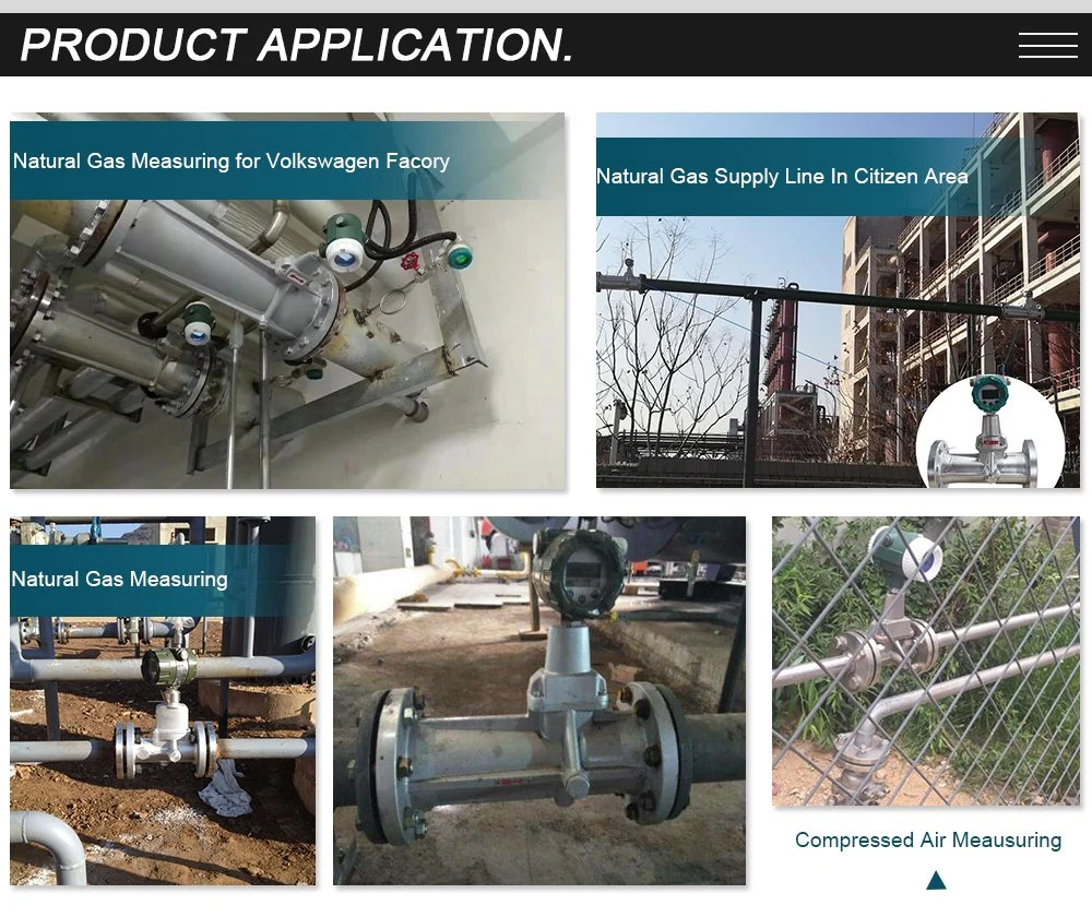 ANSI Flange Vortex Precession Flowmeter Swirl Vortex Precession Flow Meter for Compress Air